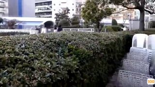 国产精品久久久久免费看片,成人视频高清免费观看